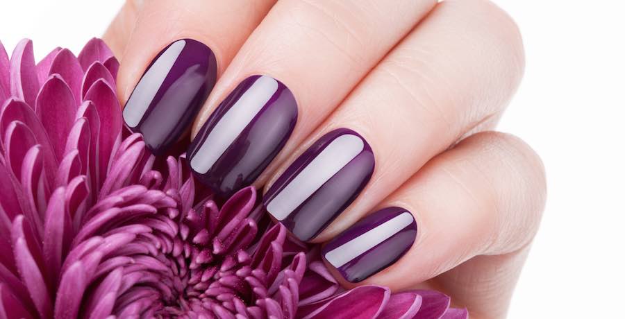 Glossy plum manicure with squoval nails beside a matching purple flower on a white background.